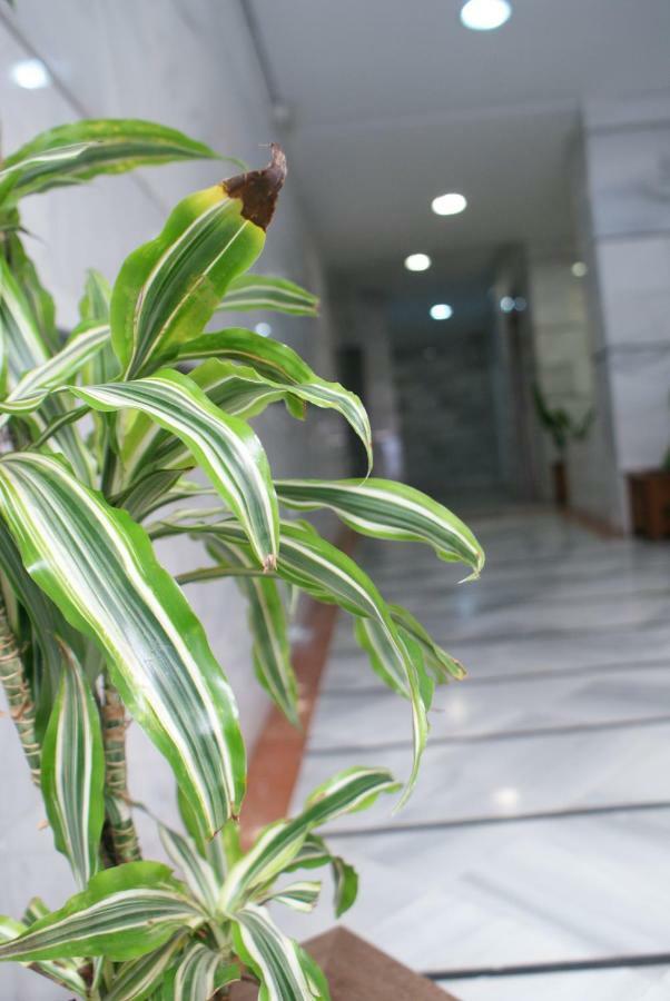 Calma Chicha Apartment Malaga Luaran gambar